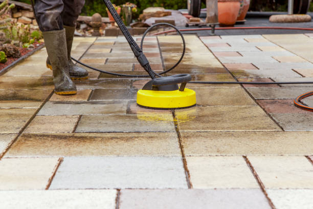 Animal Enclosure Cleaning in Coldspring, TX